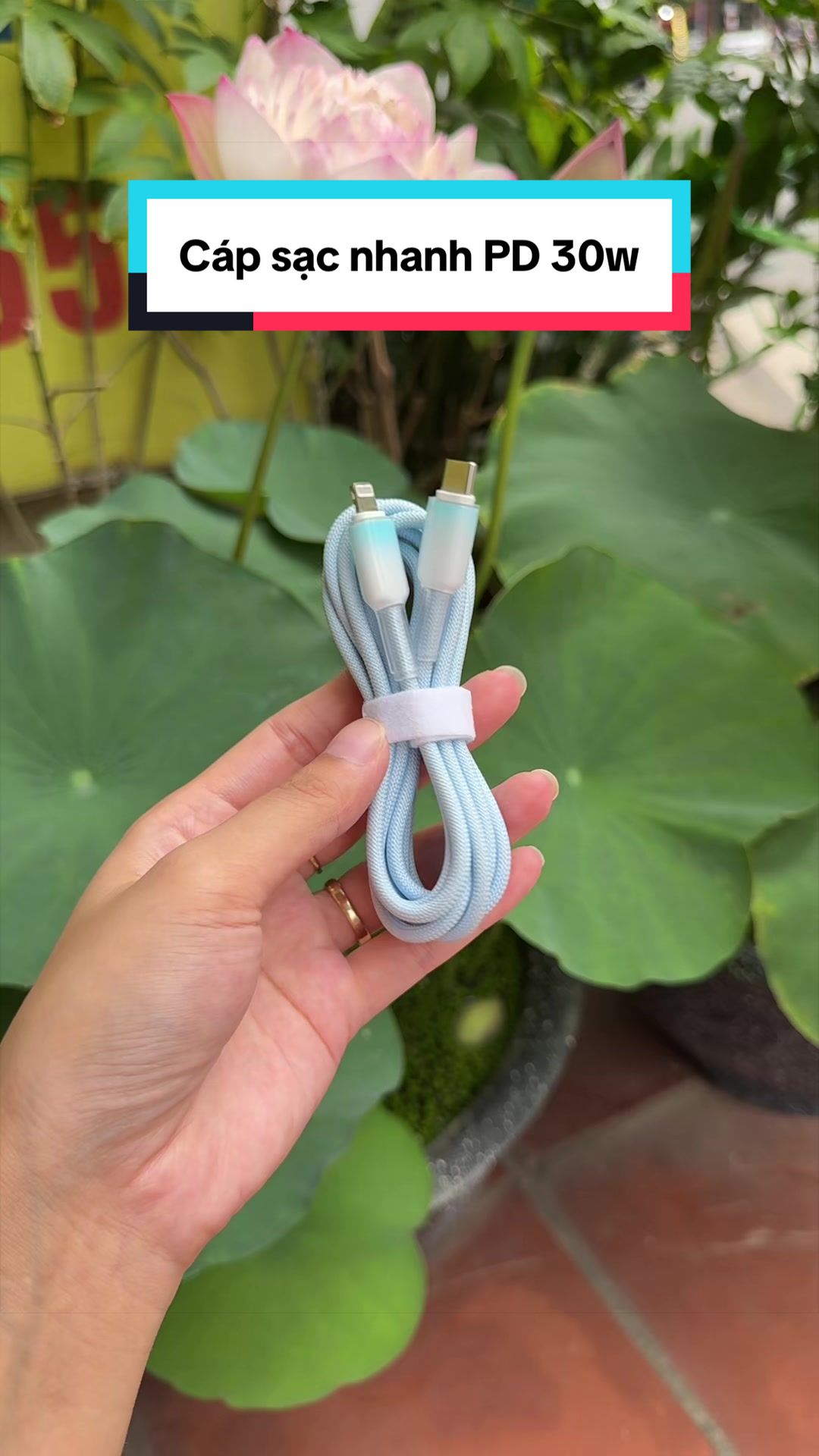 @Tuấn Bình Thường