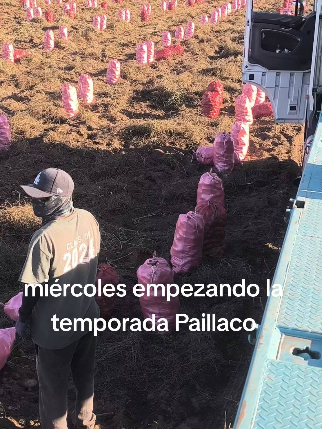 @RodolfoZentenoGuarach113🇨🇱?