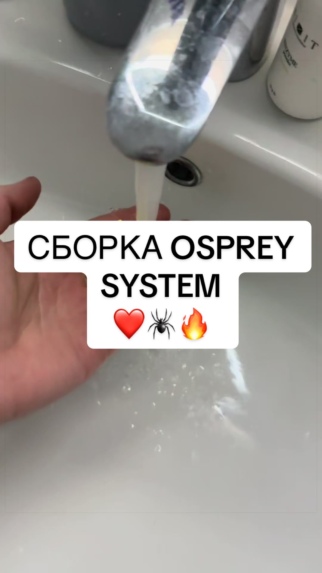 @ttspidermanchik