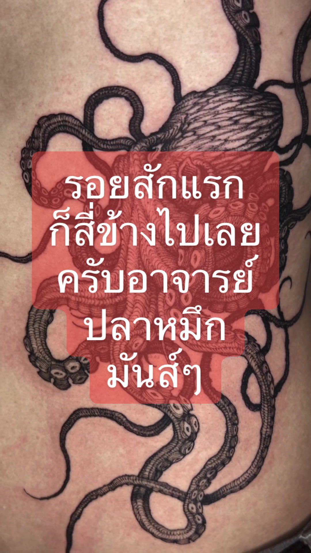 @243tattoo