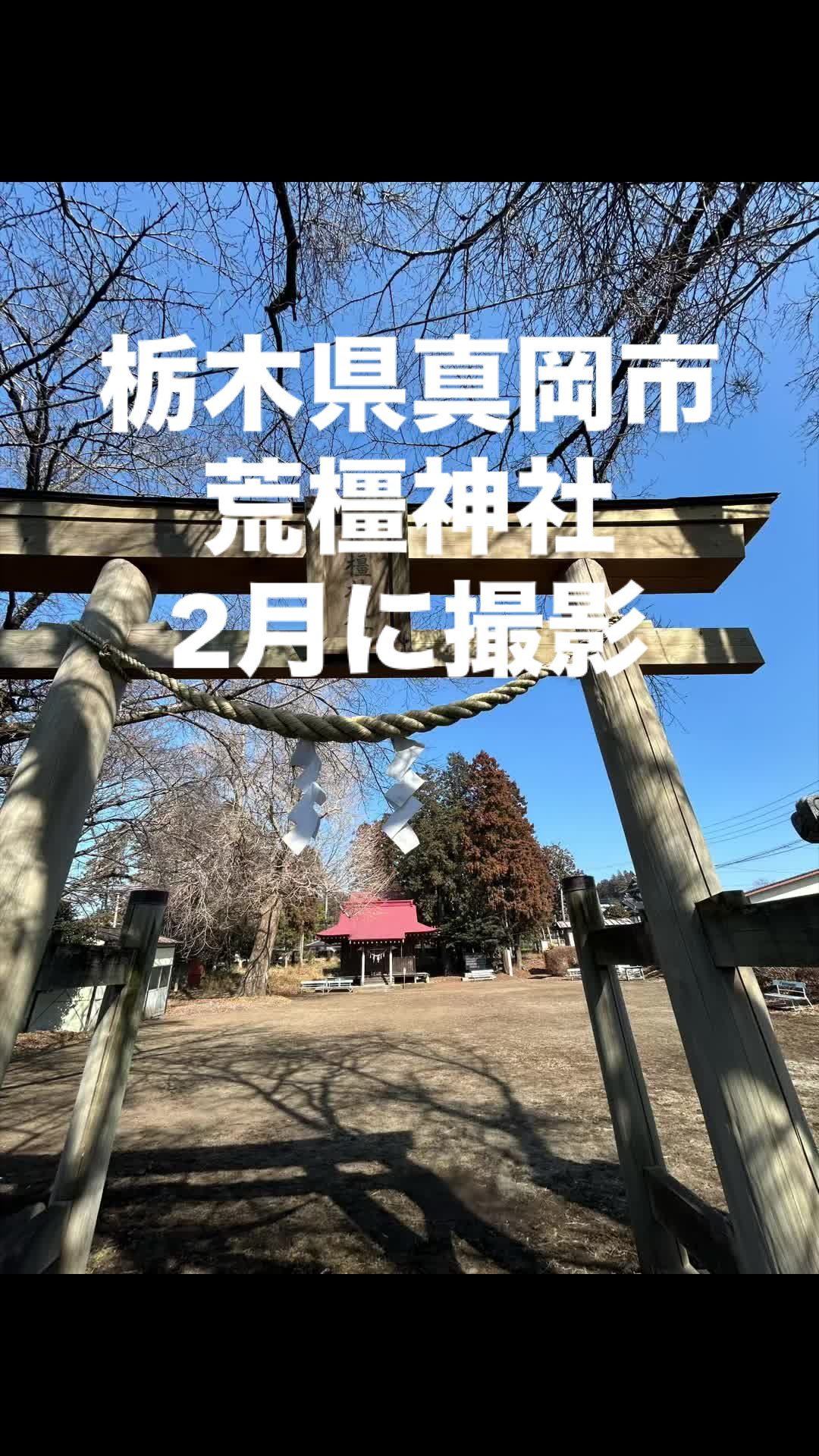 @♡さくらの♡