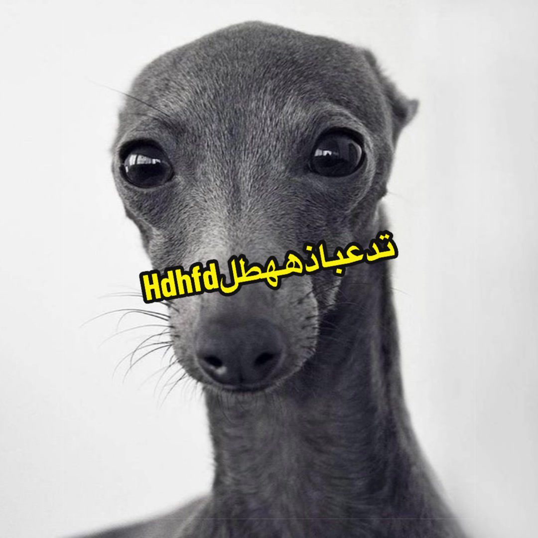 @🇪🇬.ᐟ