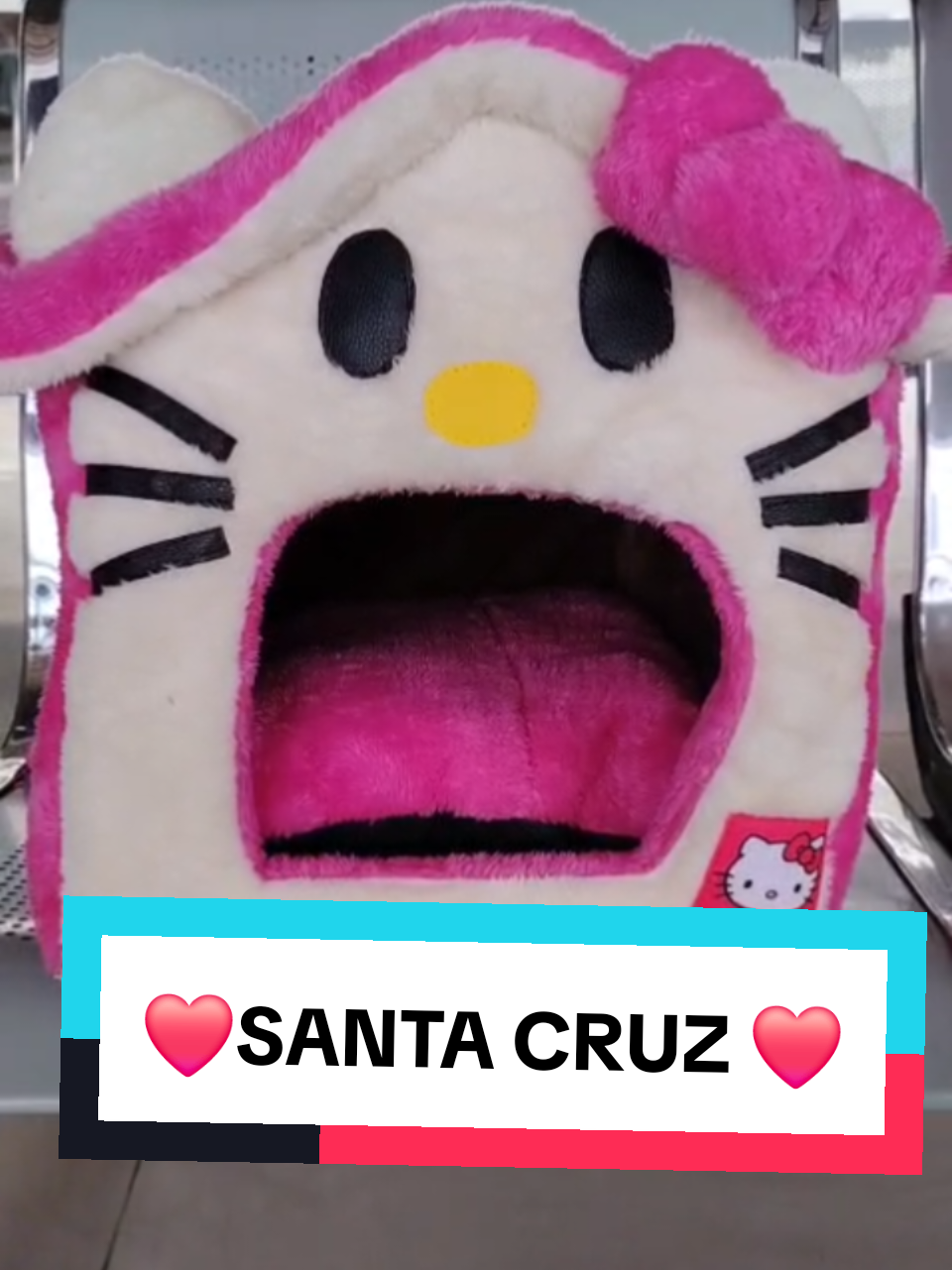 @Minxgia Pets