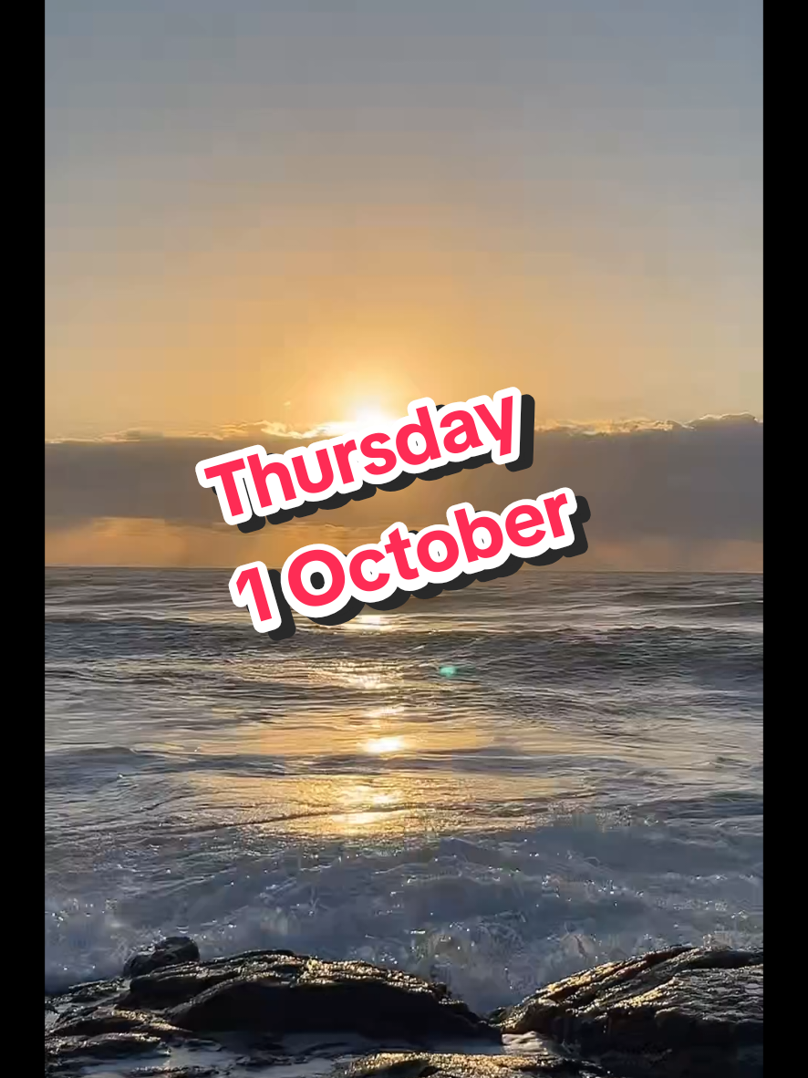 @Werner 🔆 🌊 🇿🇦