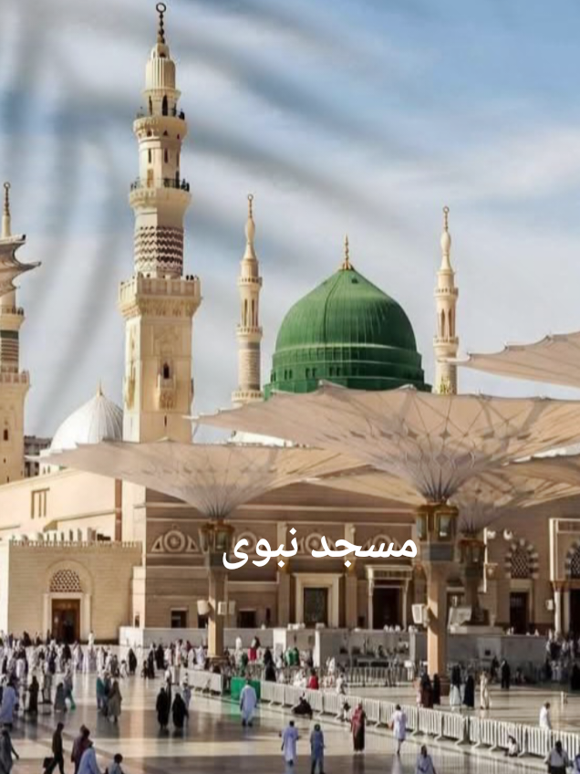 @Amir ali