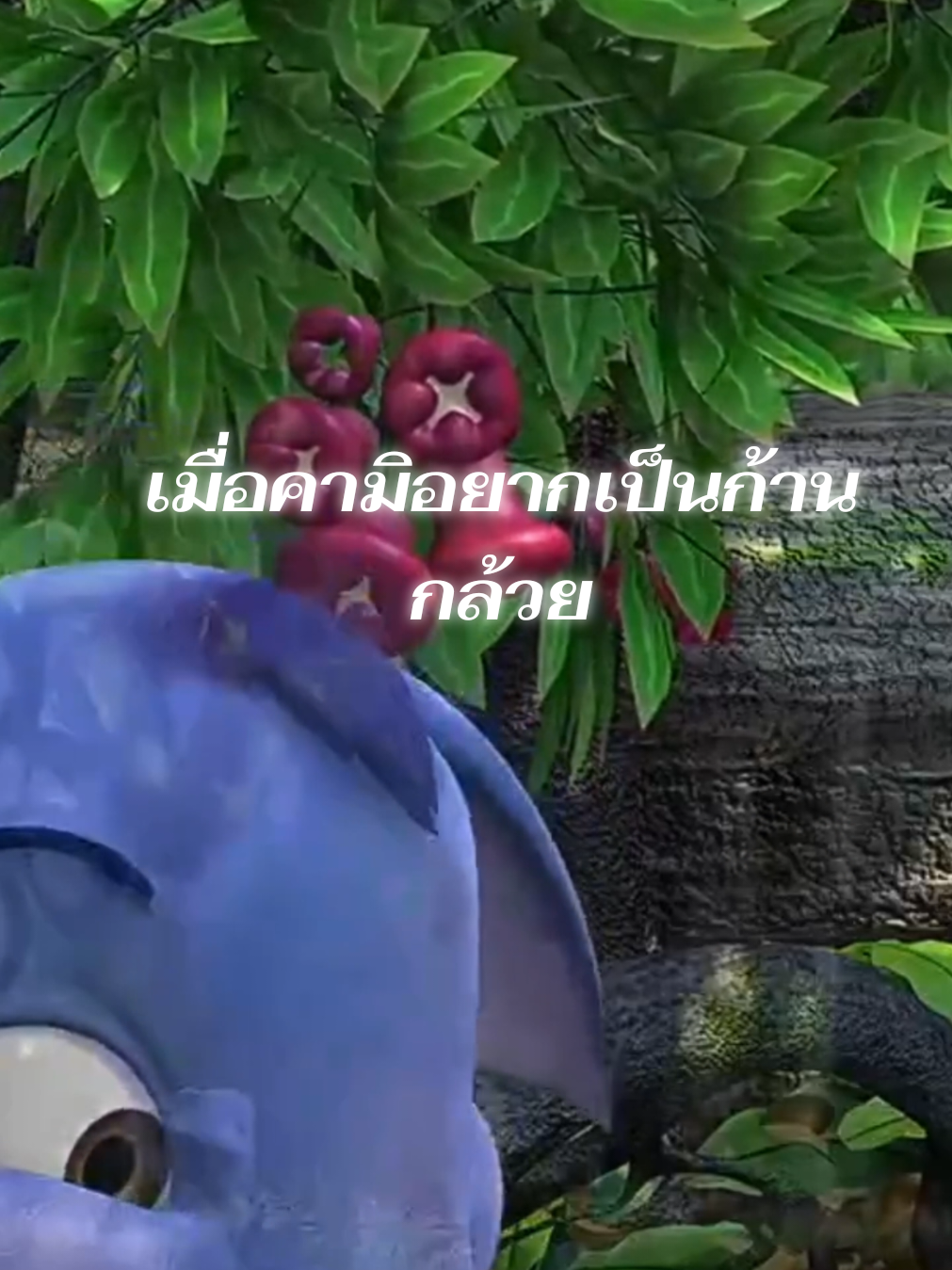 @𝙺𝚊𝚖𝚒