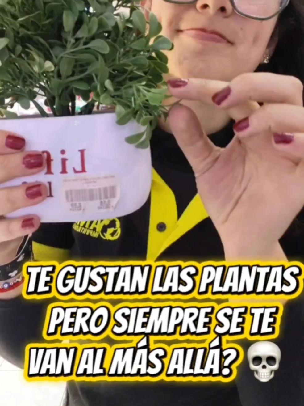 @AMC IMPORTACIONES