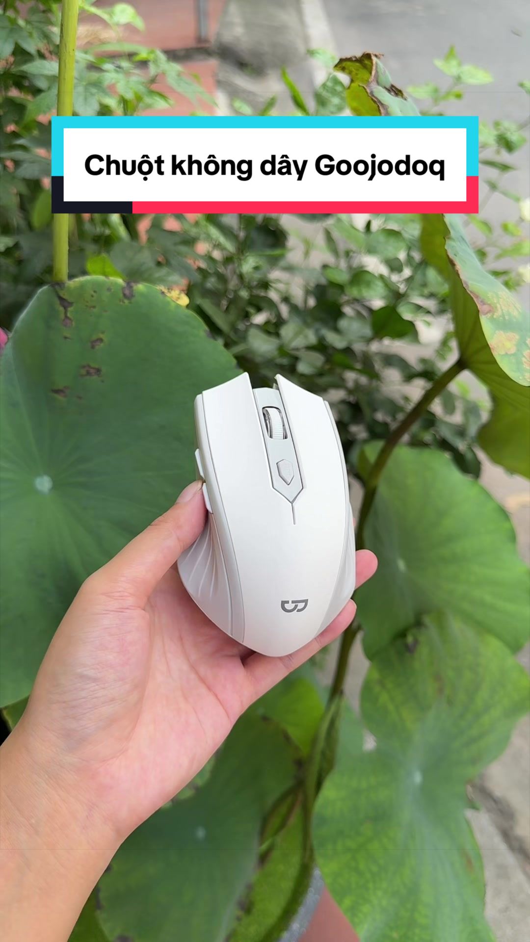 @Tuấn Bình Thường