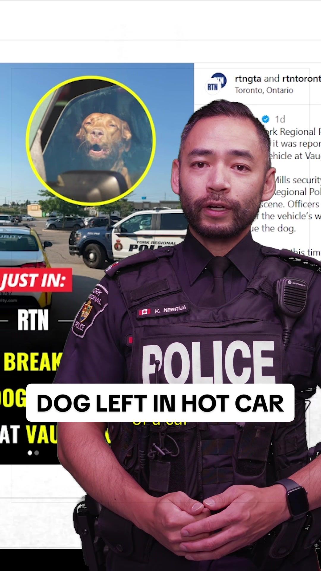 @York Regional Police