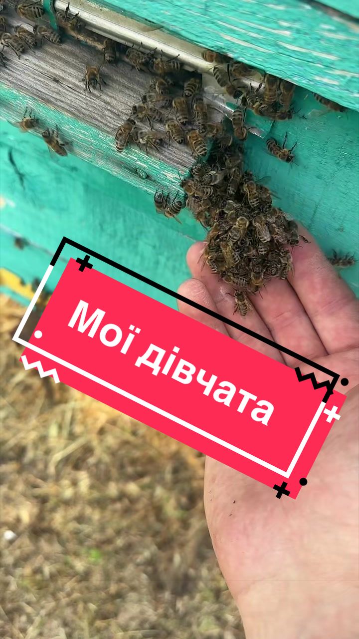 @Угнал Лифт