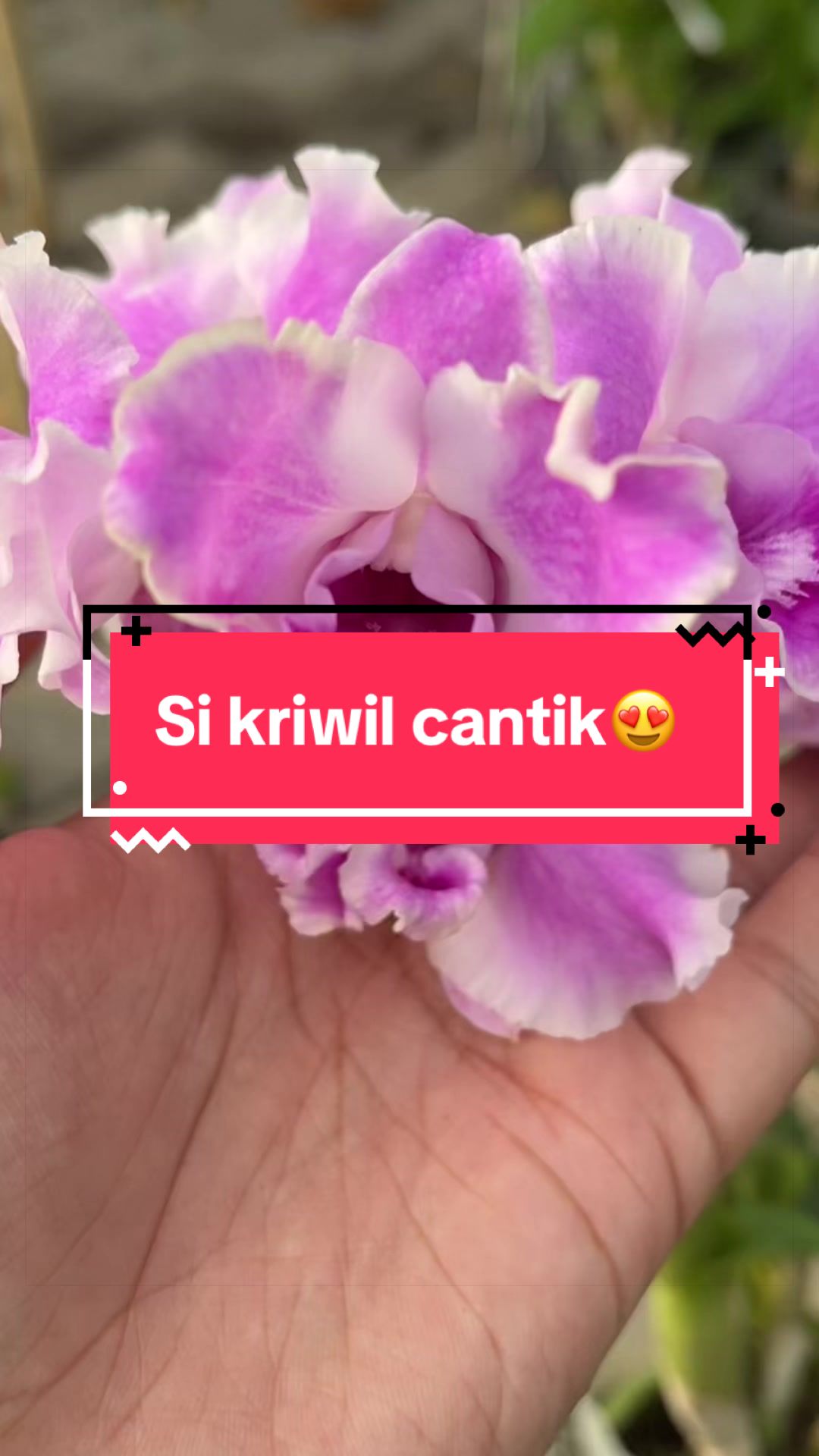 @Griya sekarindo utama