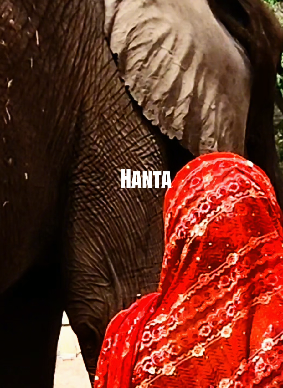 @Sarauniyar Maganin Nigeria