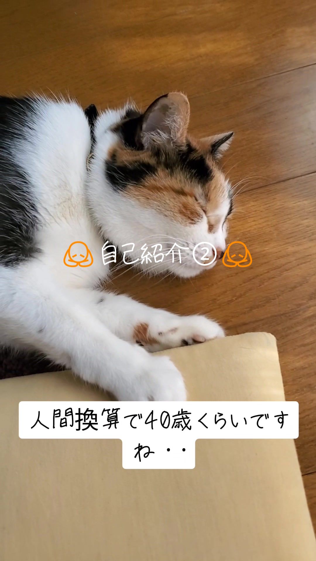 @😻kazuki😻
