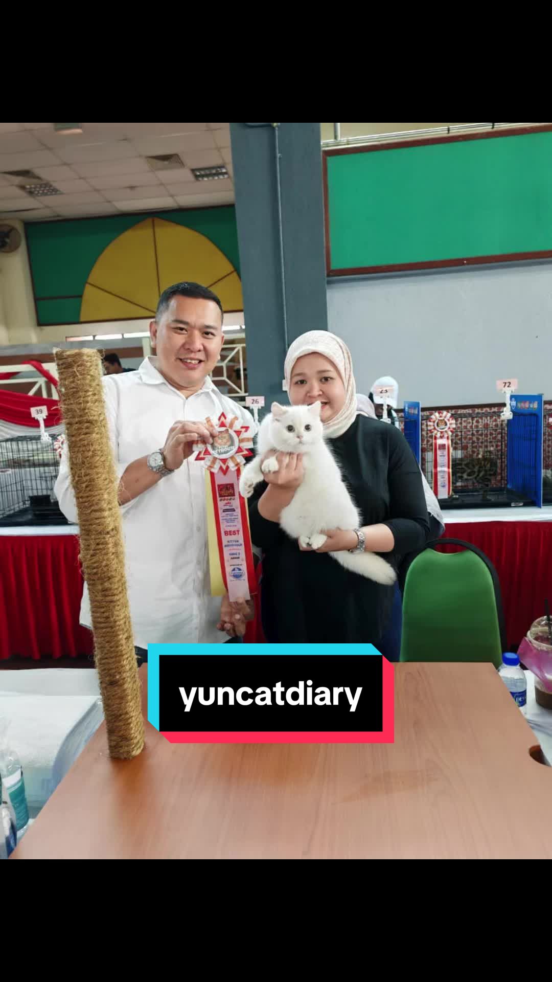 @YUN FLUFFY CATS