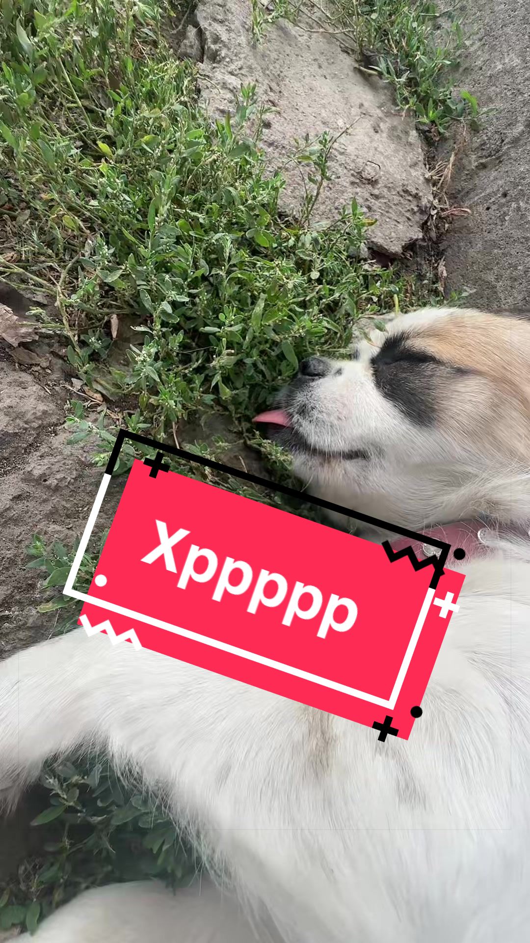 @Угнал Лифт