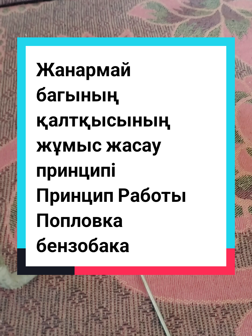 @Turkestan Авто ЭЛЕКТРИК ⚡🪛🛠?