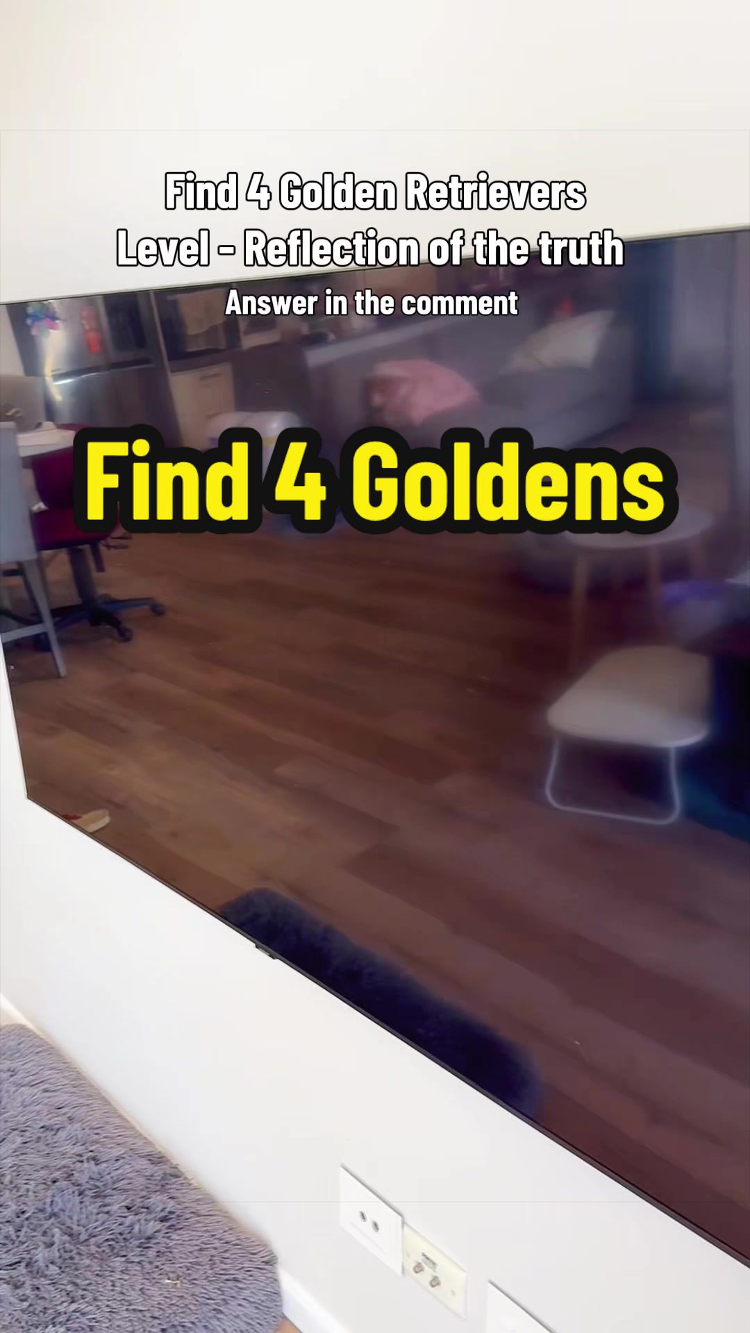 @3goldenretriever