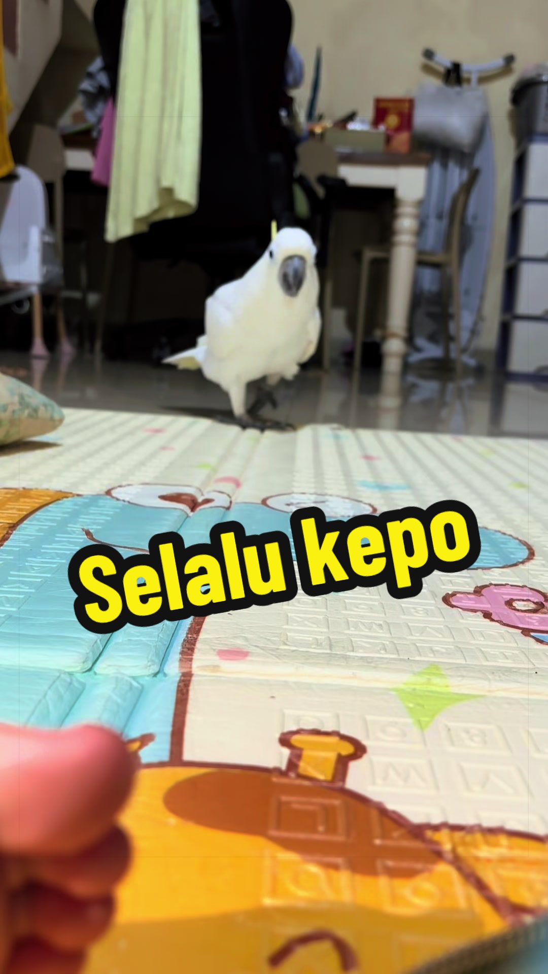 @bio_bege