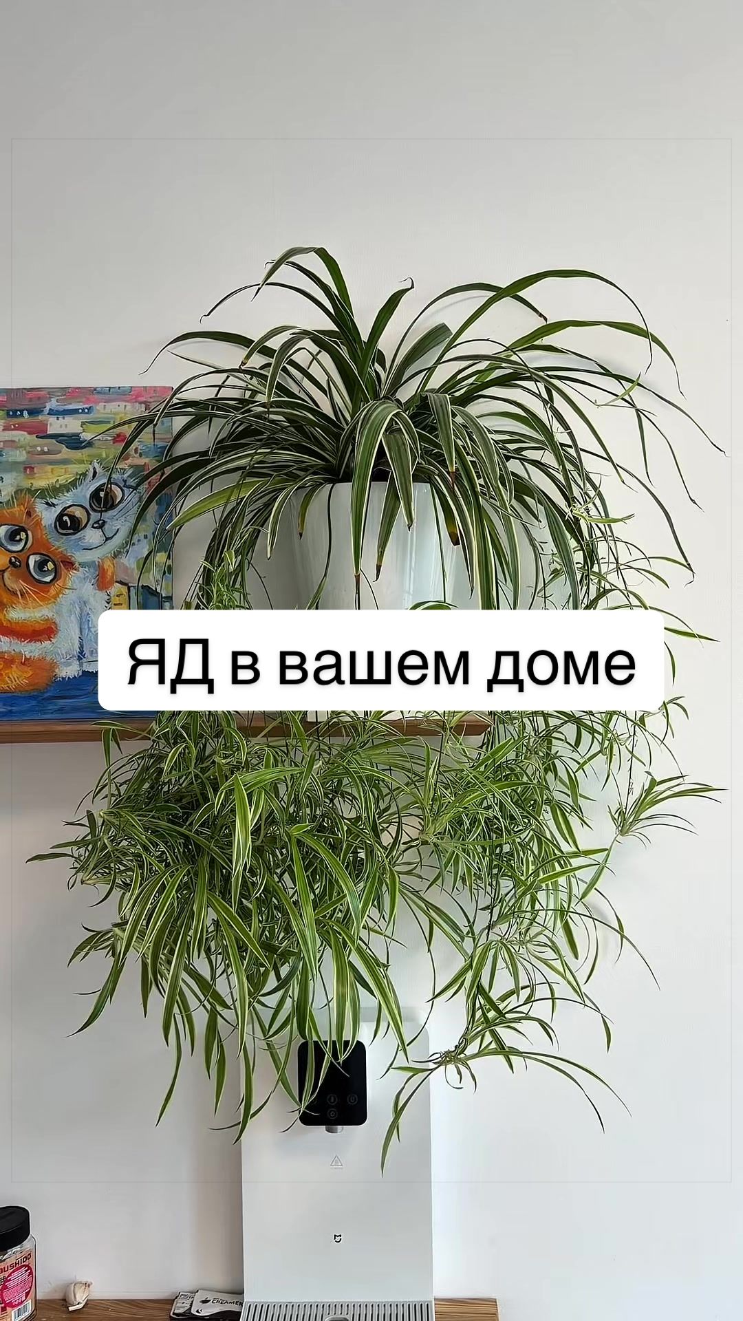 @Vladislav