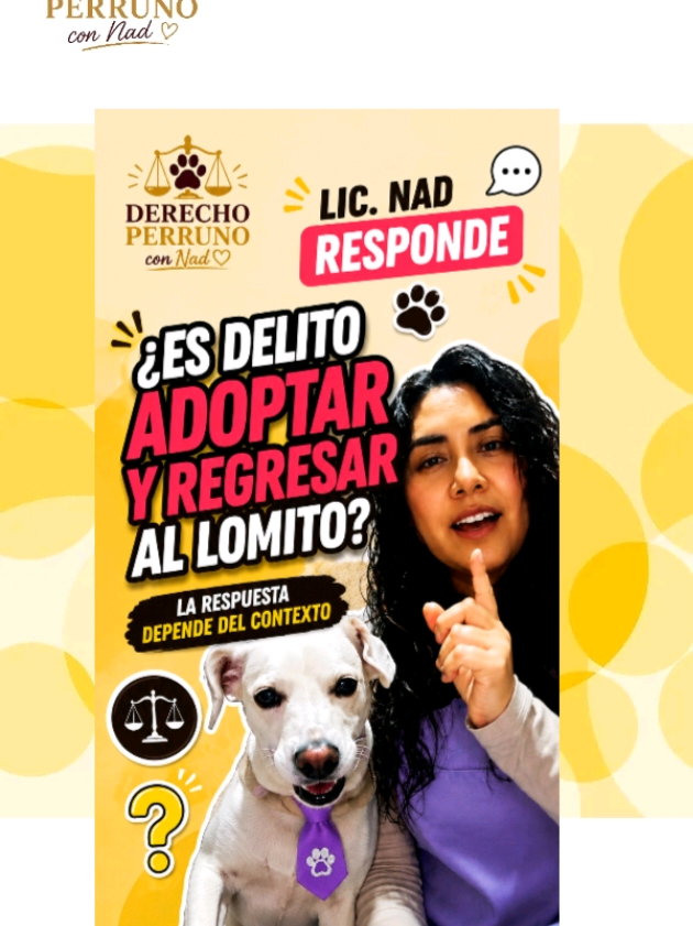 @Abogada de Lomitos