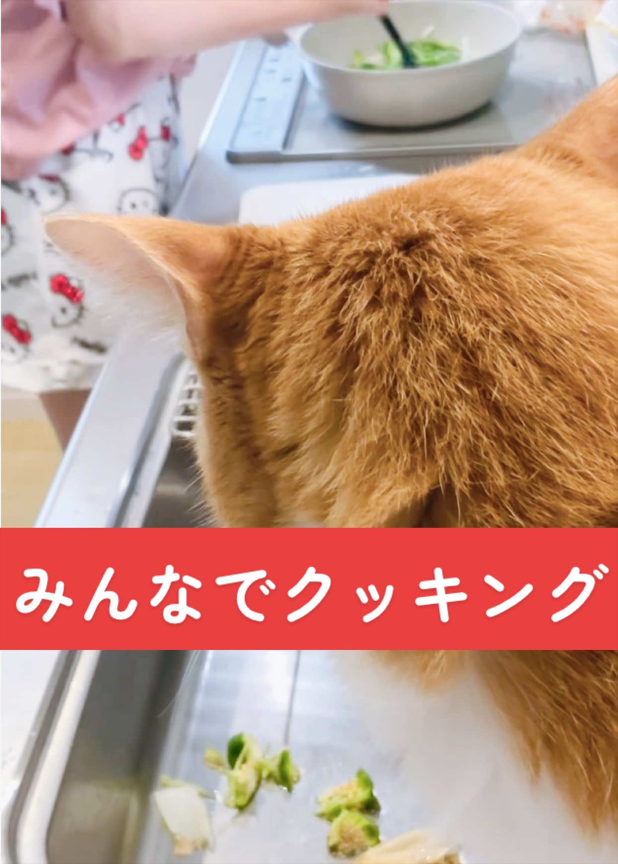 @みーこchannel