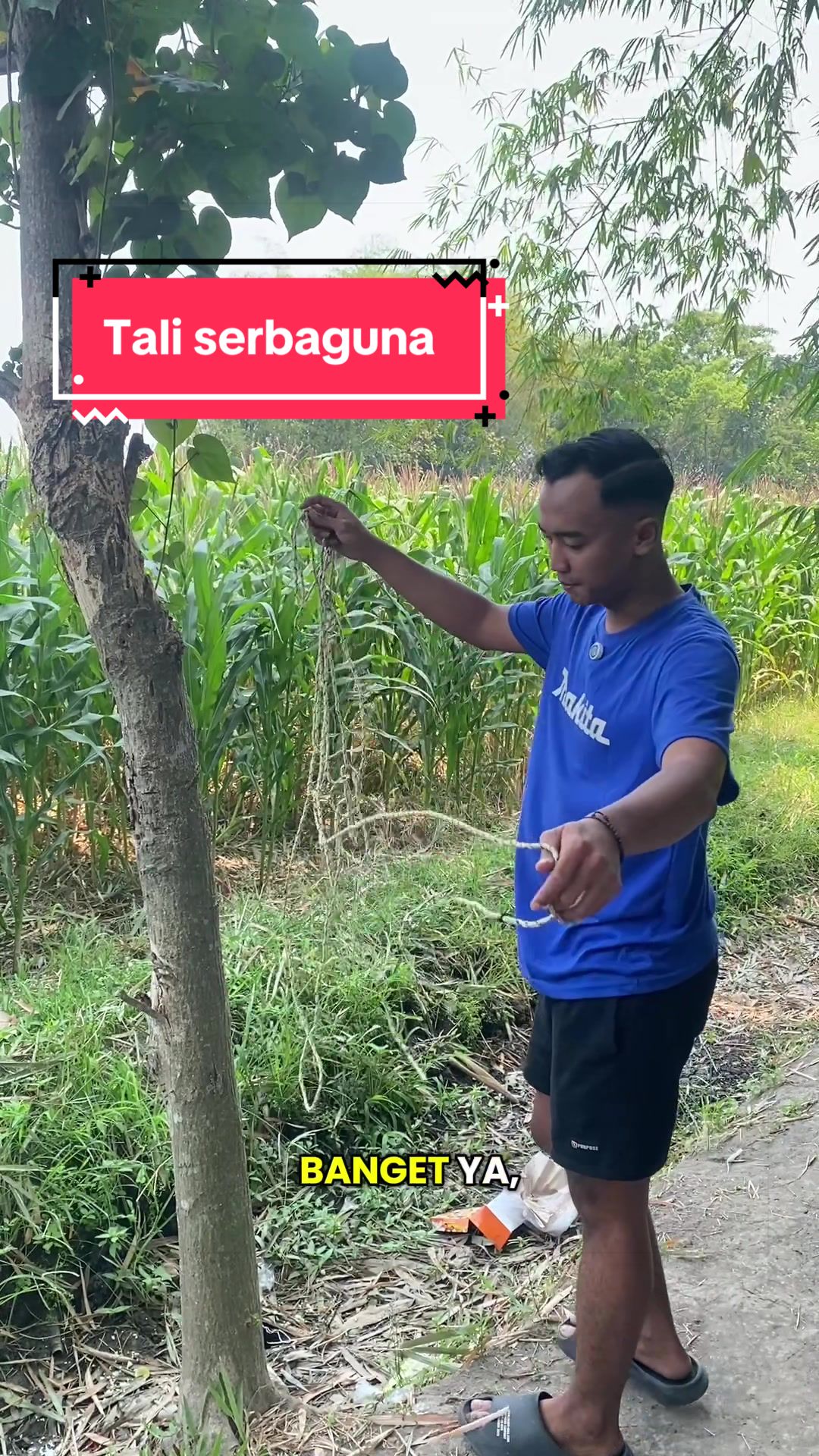 @Baberekomendasi