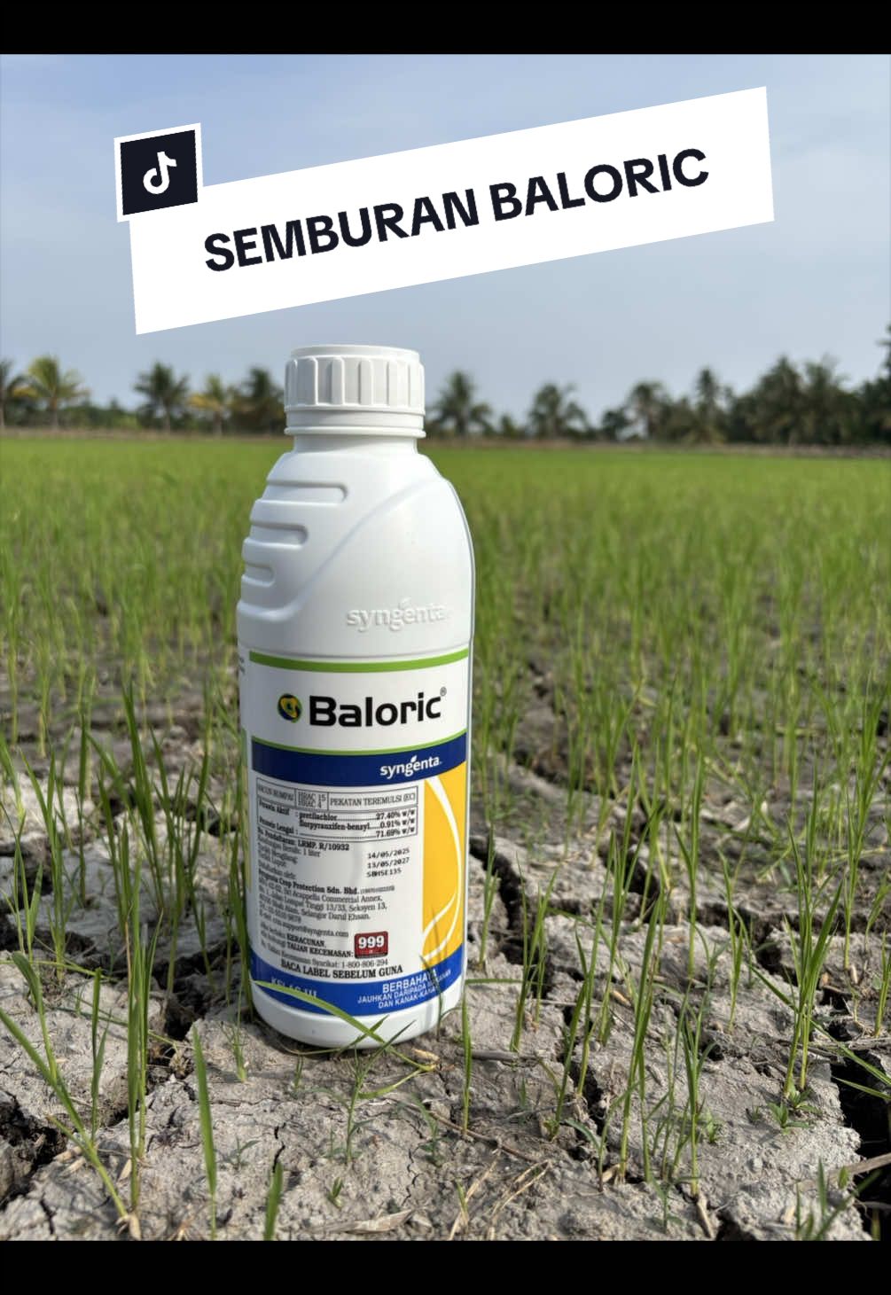 @CY Agriculture