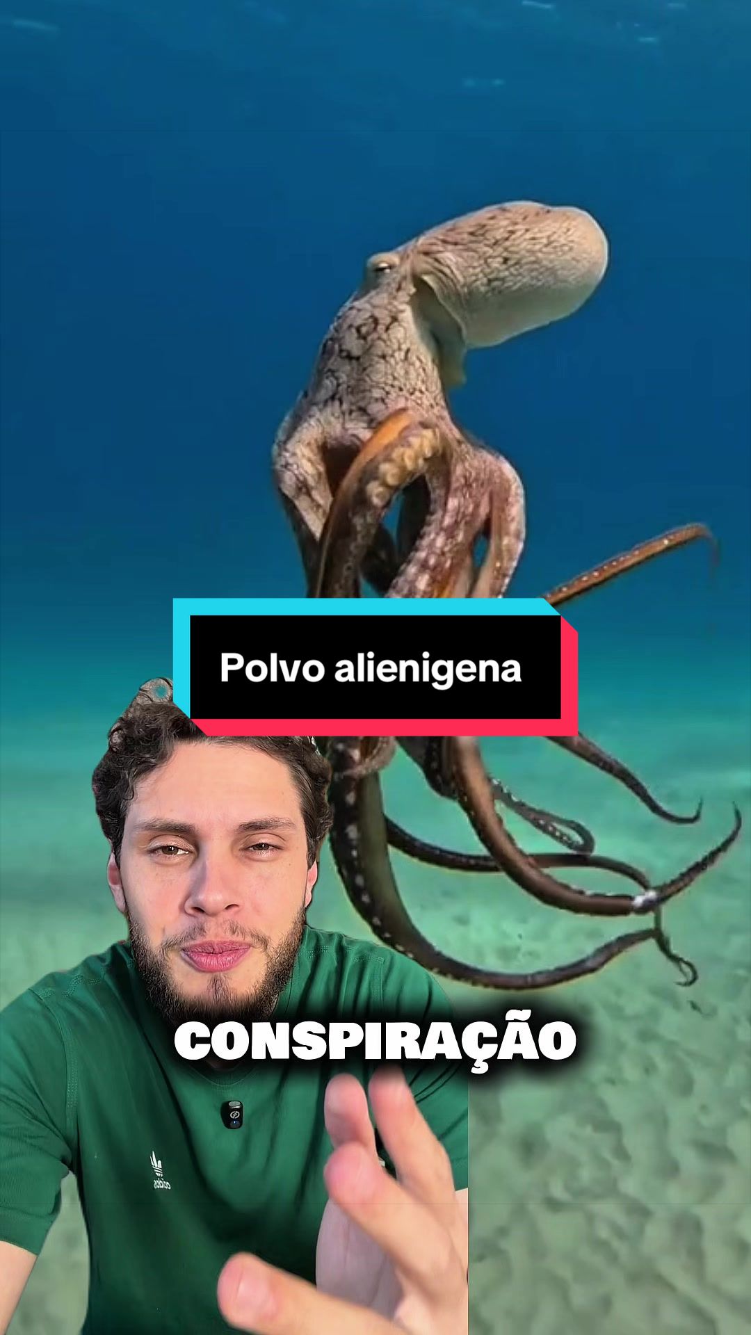 @Fercavs