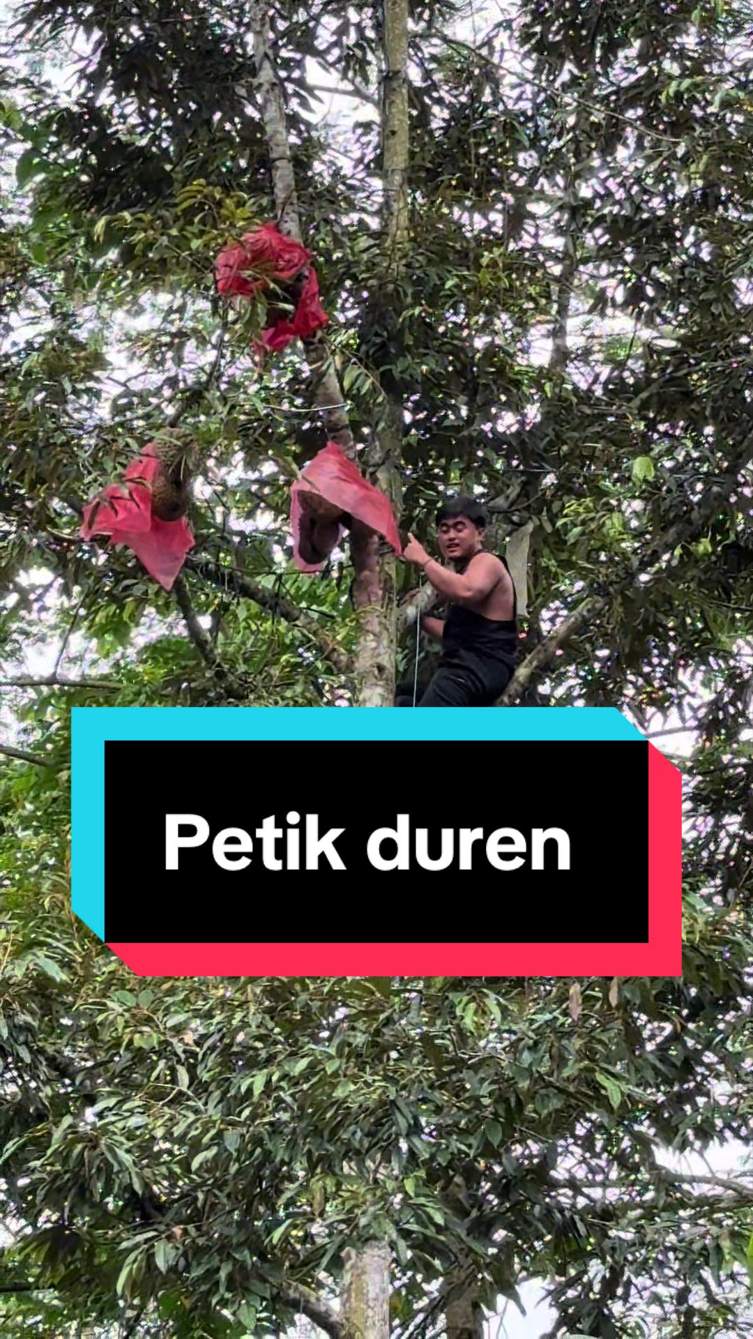 @Doni artawan
