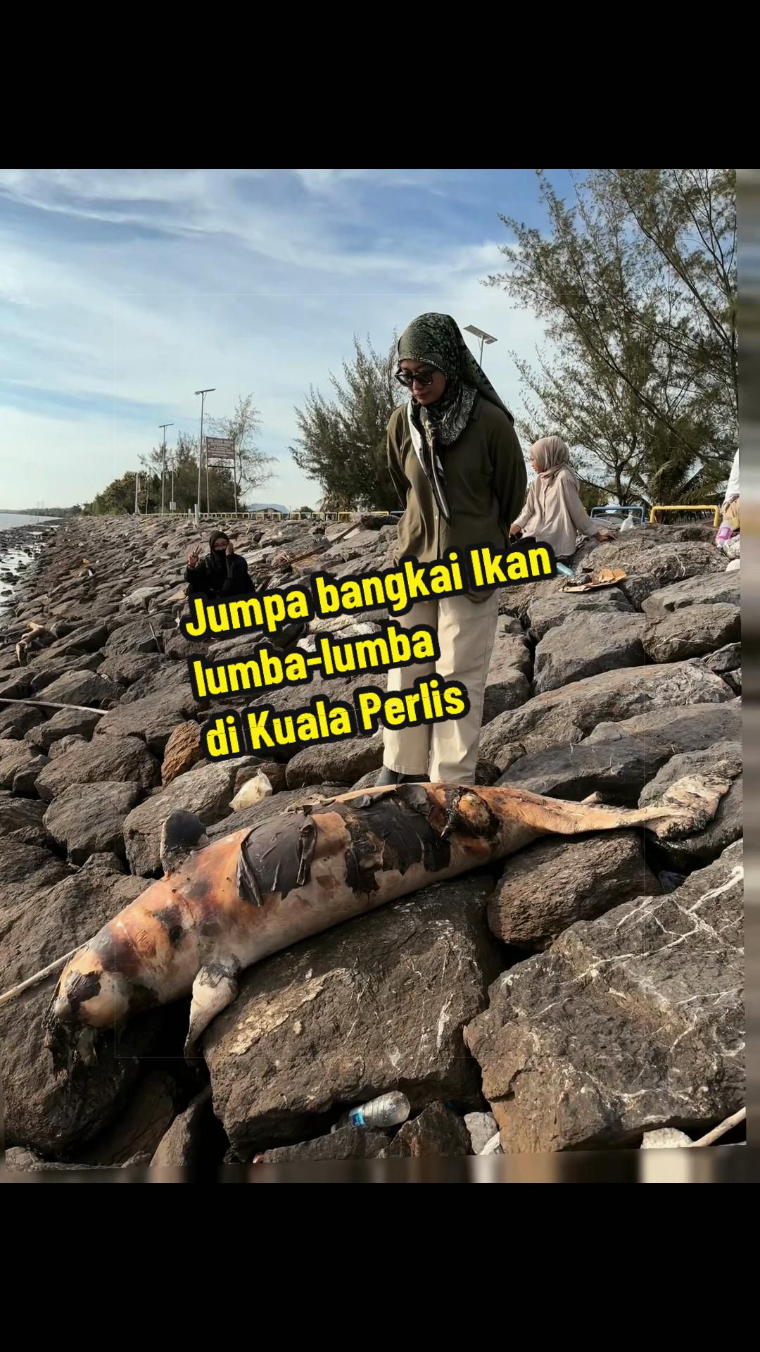 @themadamnanie