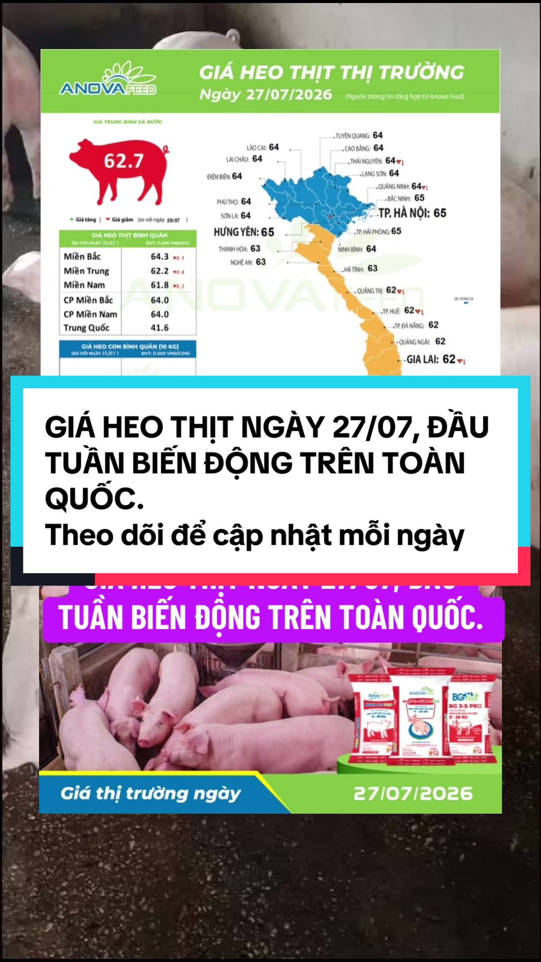 @TuanAnh.Anovafeed