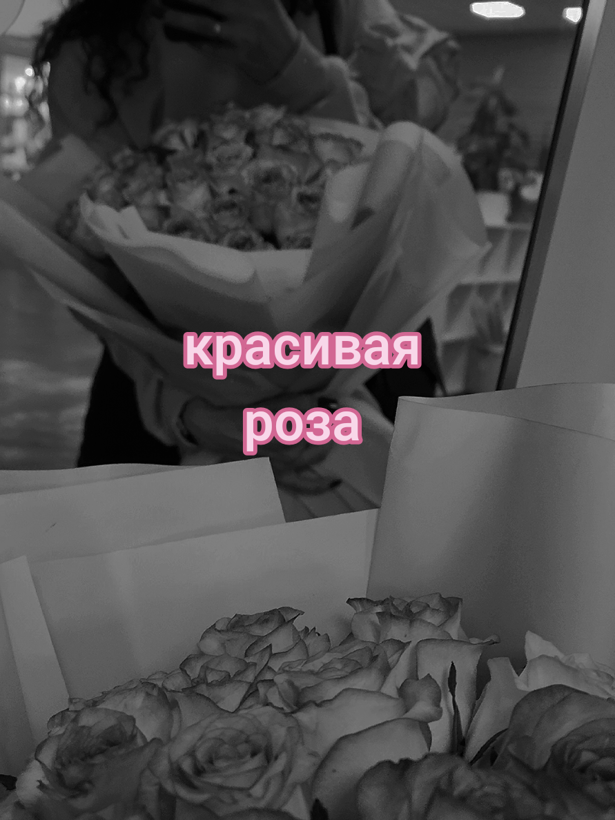 @Снежана