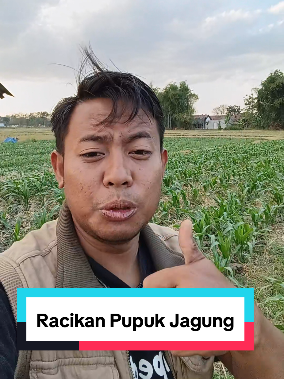 @tanipedia id