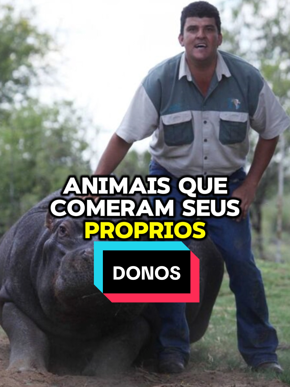 @curiosidadesemistério