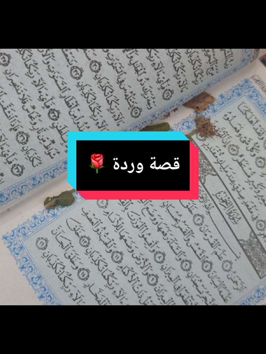 @Sama🌸