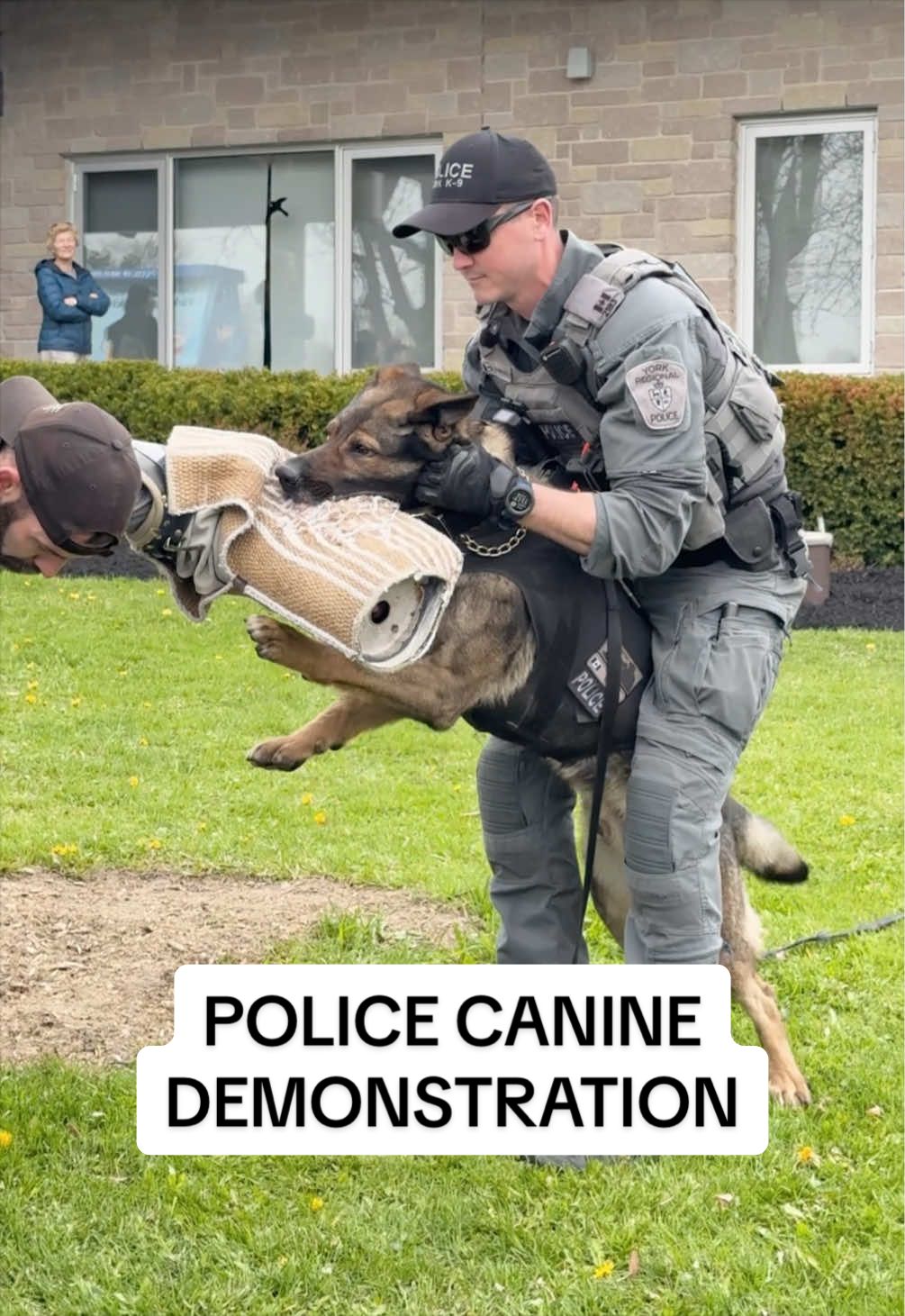 @York Regional Police