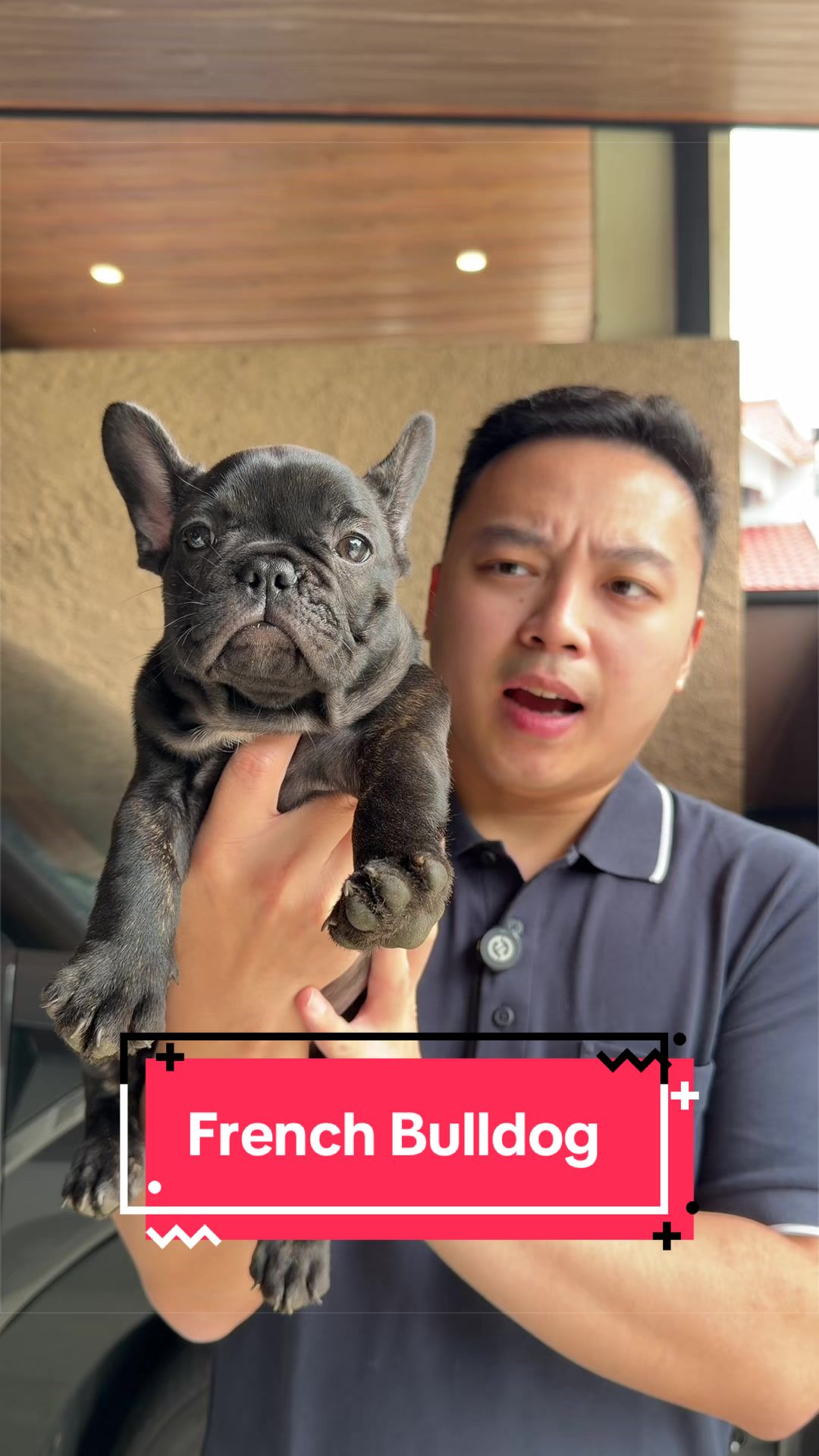 @Koko Guguk