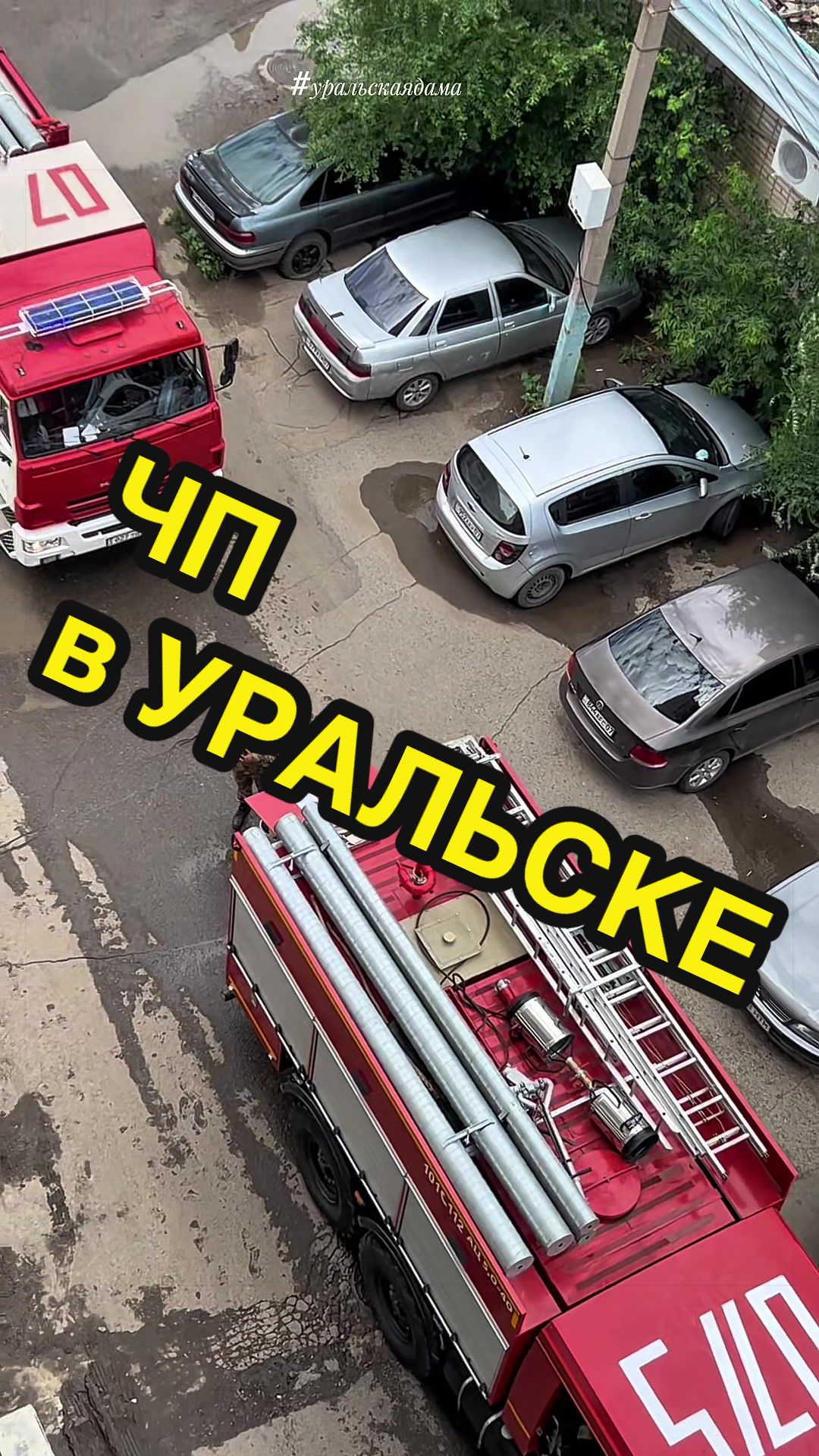 @Уральская Дама