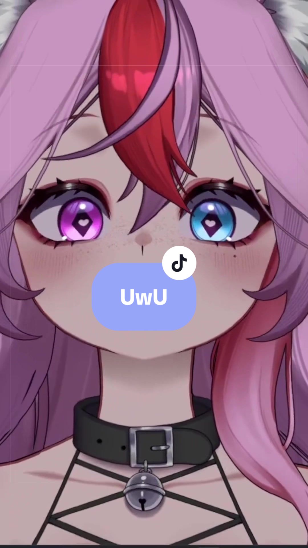 @๐๐ GแแฐแฐY ๐๐