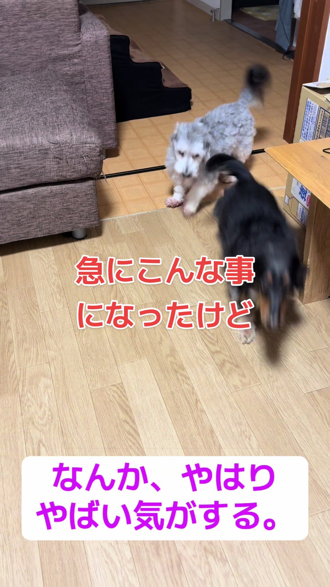 @もっさん