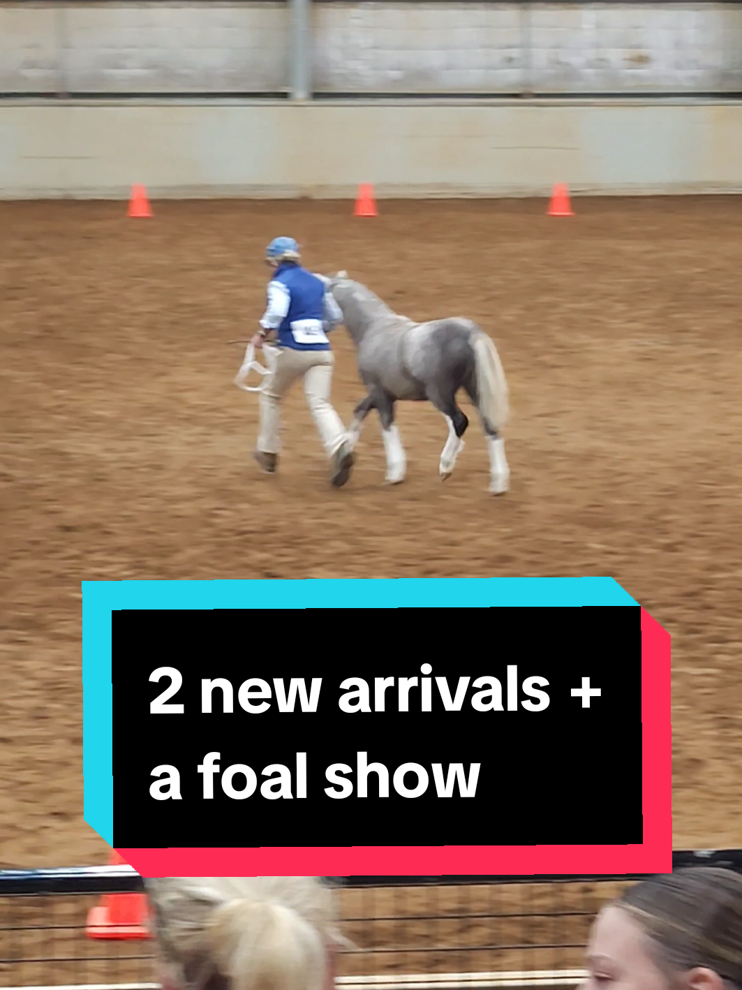 @Jess | Horse trainer