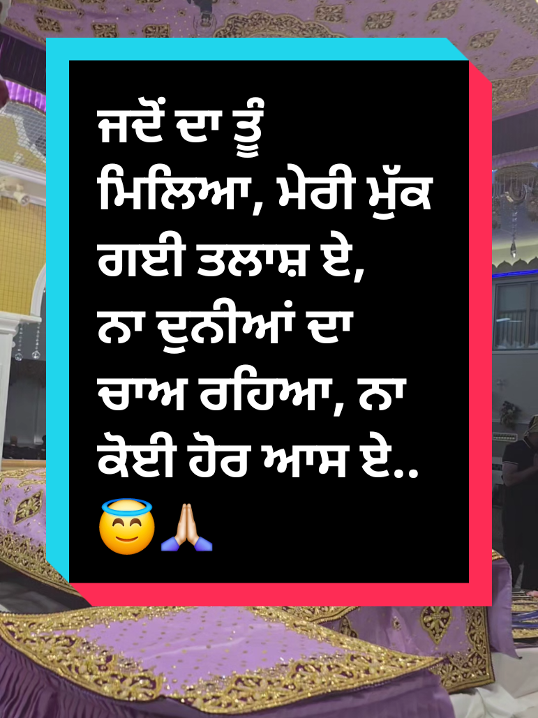 @D.G