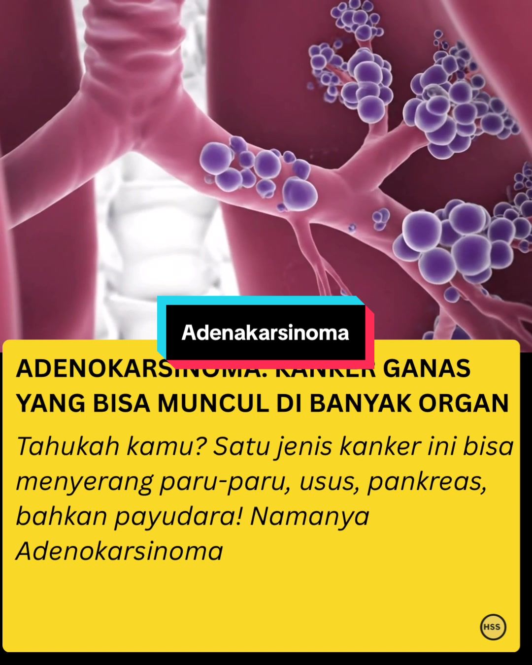 @healthstorysociety