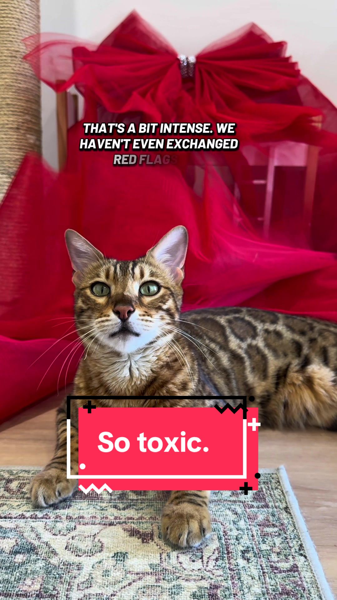 @Skeeter The Bengal