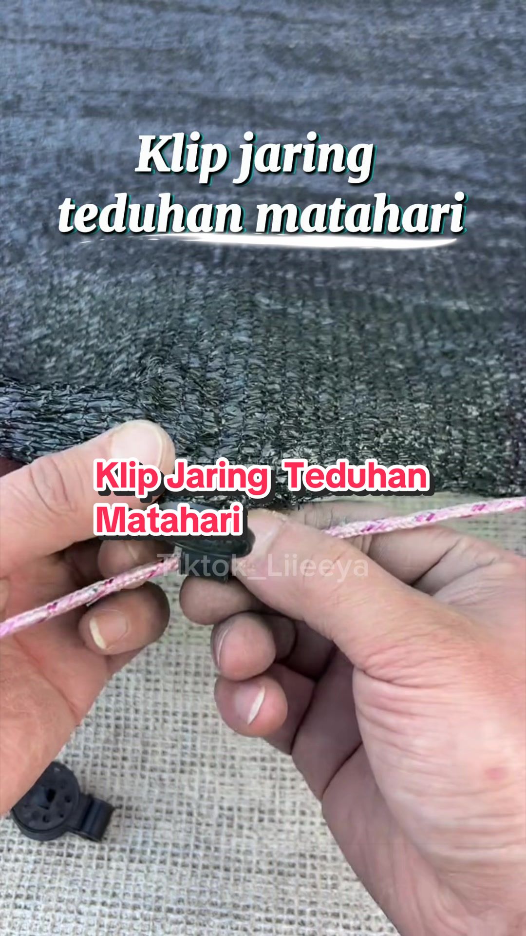 @Liya
