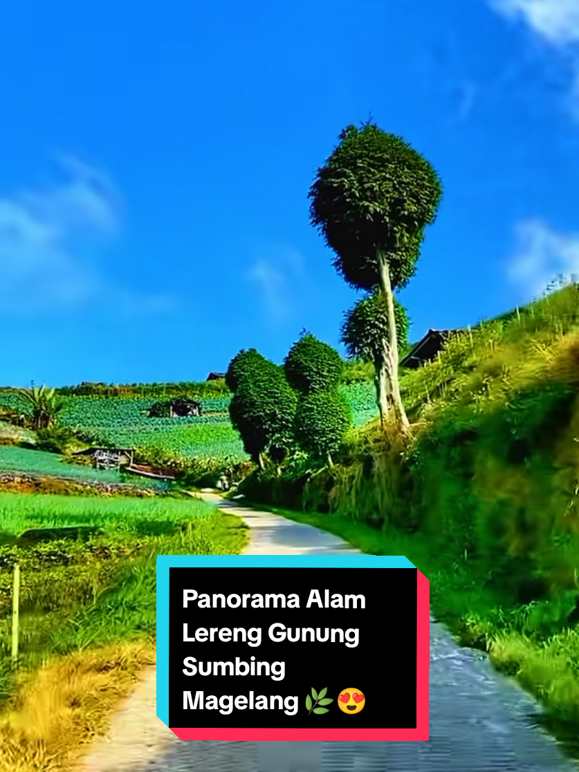 @mlampah2_57