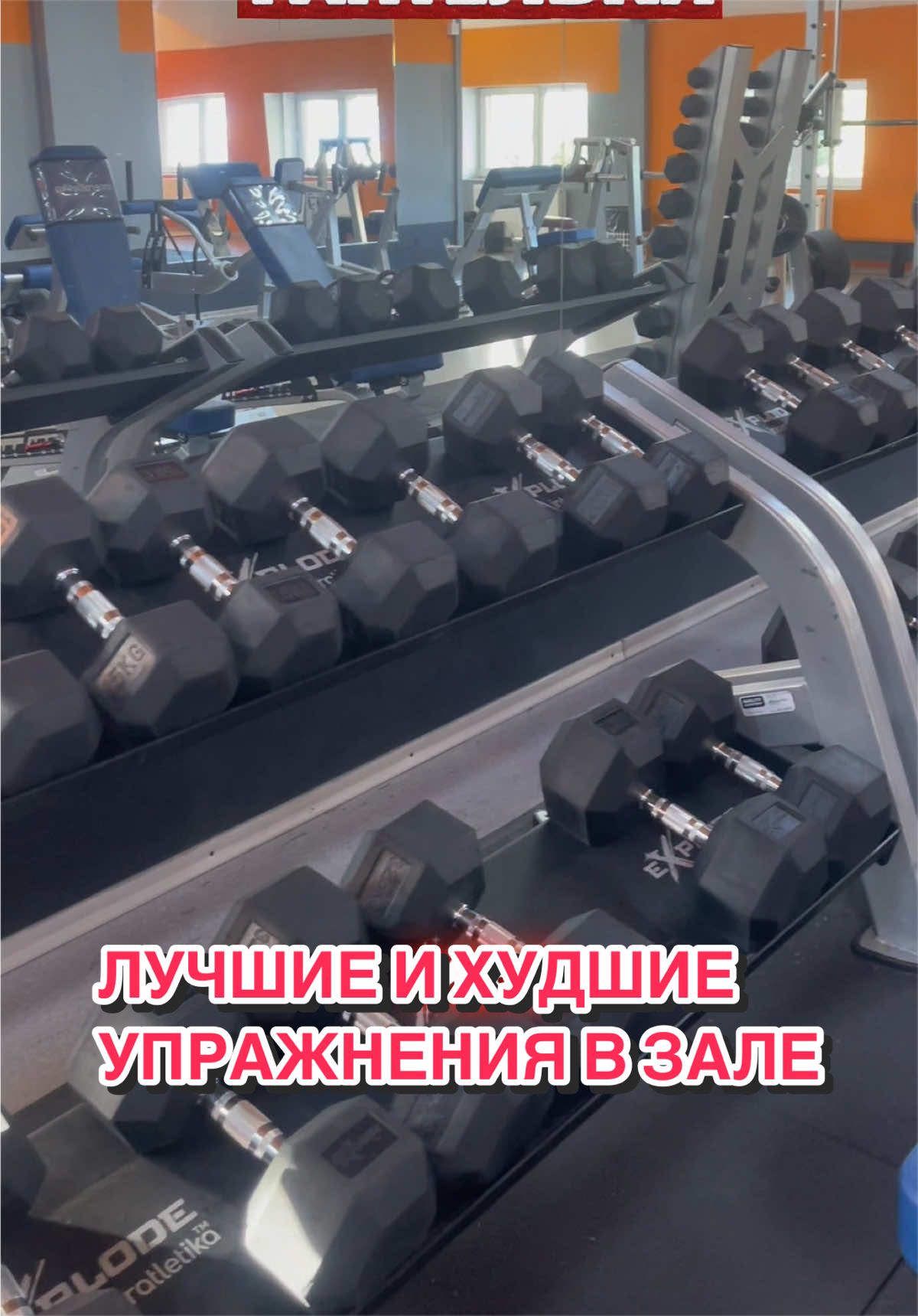 @ИЛЮХА ЖЕЛЕЗО 🏋️