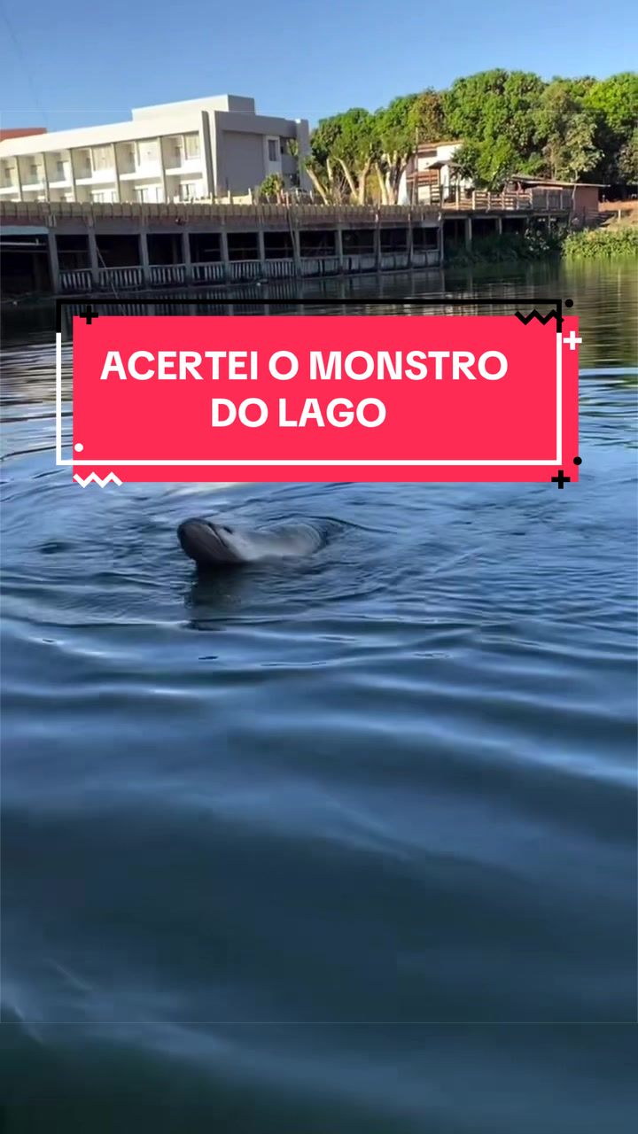 @Dimex Pescador