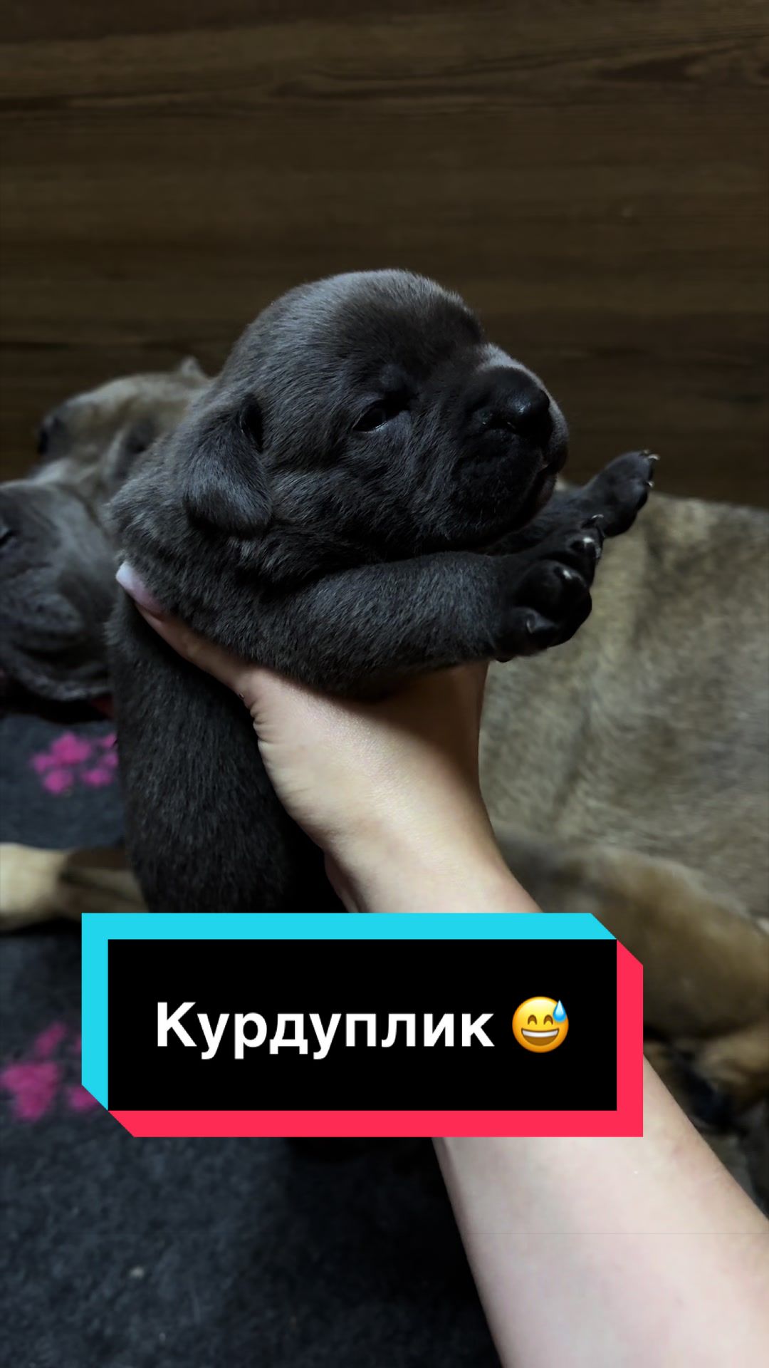 @Infinity Glory 🇺🇦