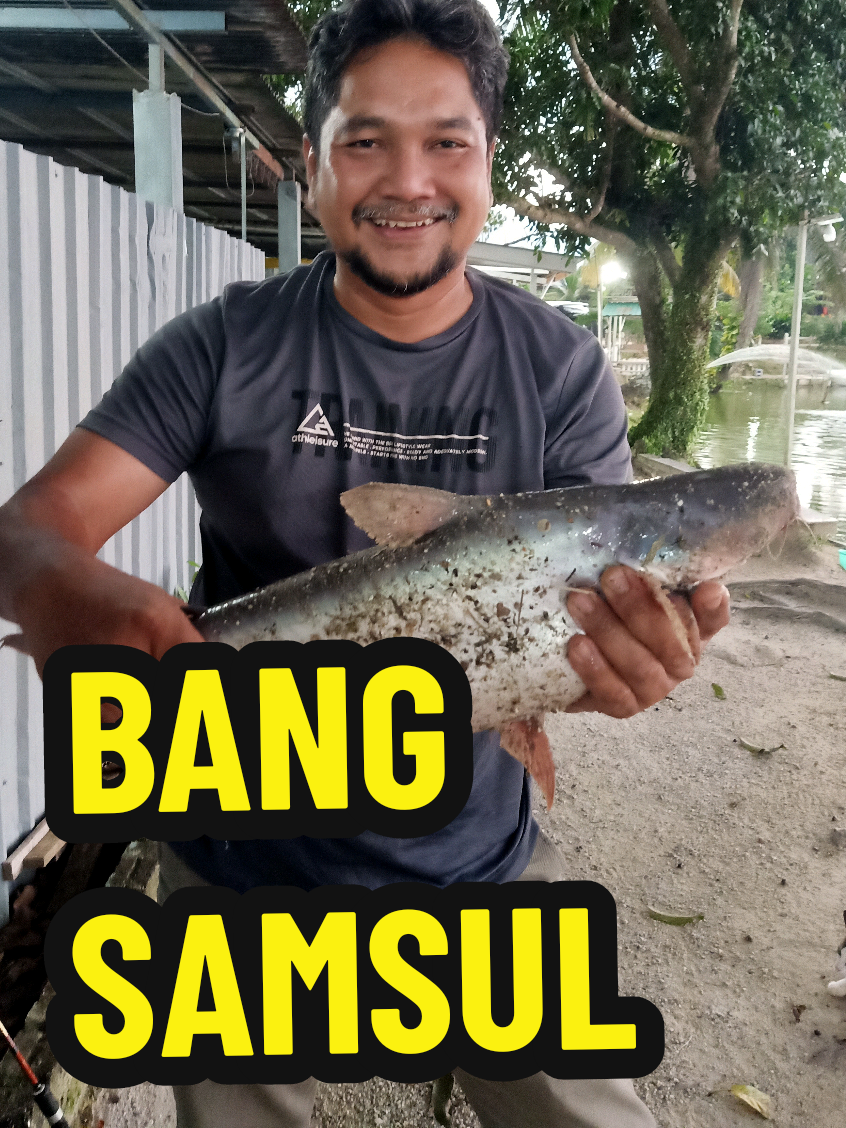 @SilatangBugis